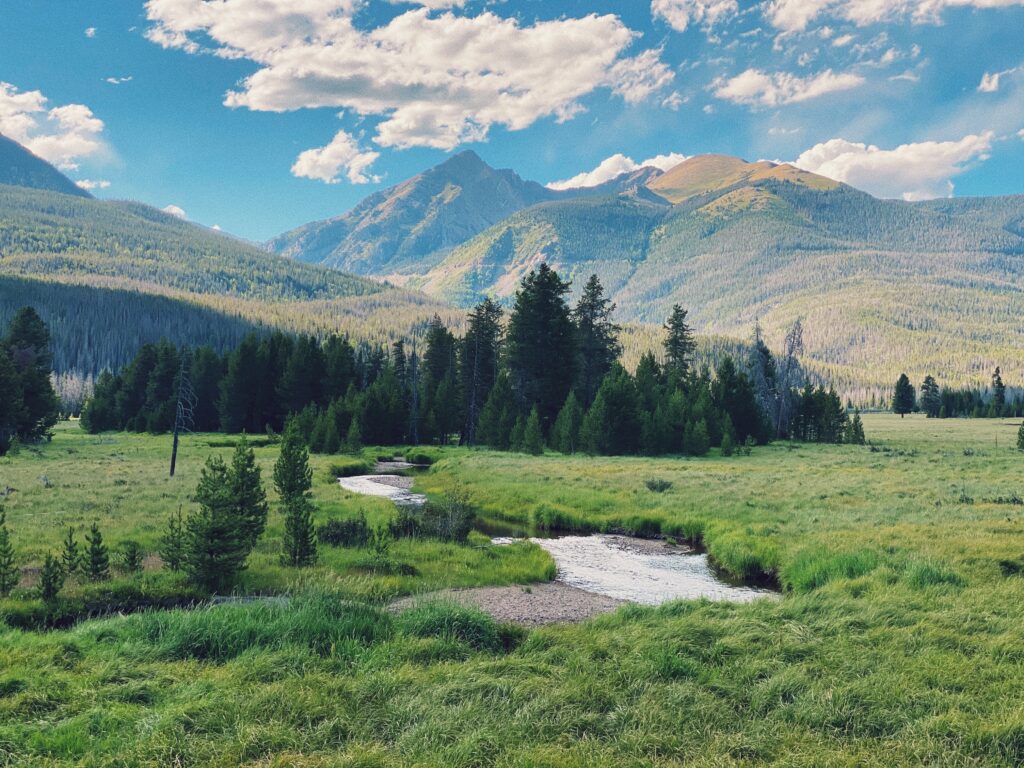 Nature sortir du mode survie